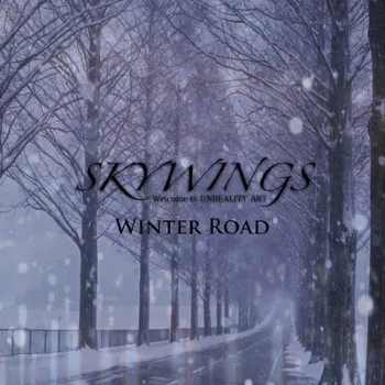 Skywings : Winter Road